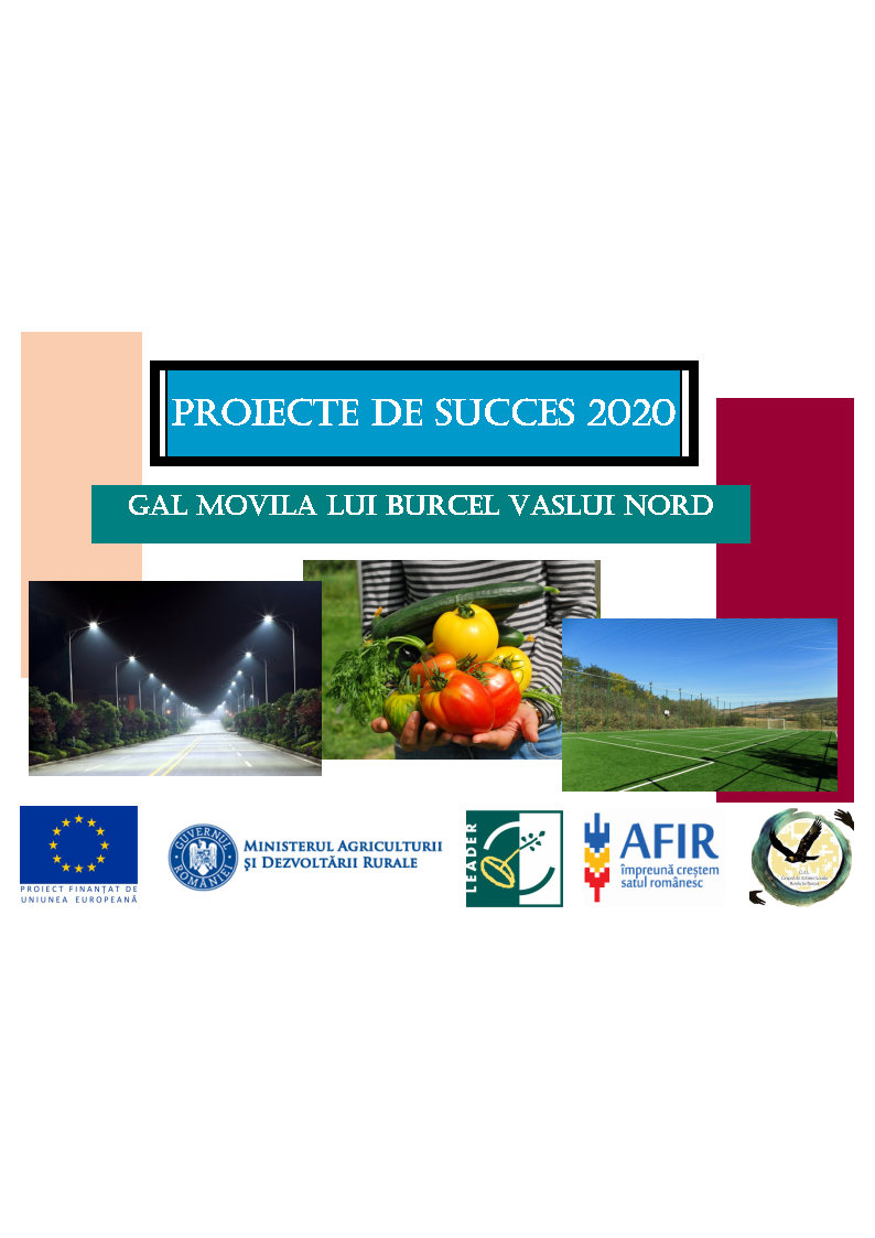 catalog proiecte de succes 2020 